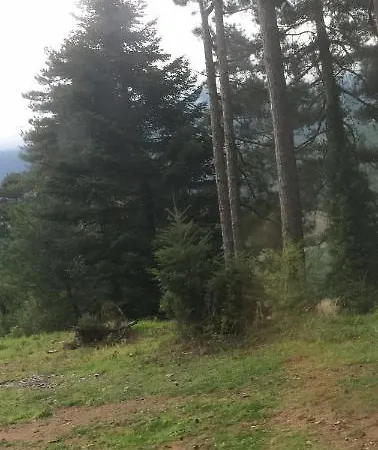 بيت ضيافة Anarada